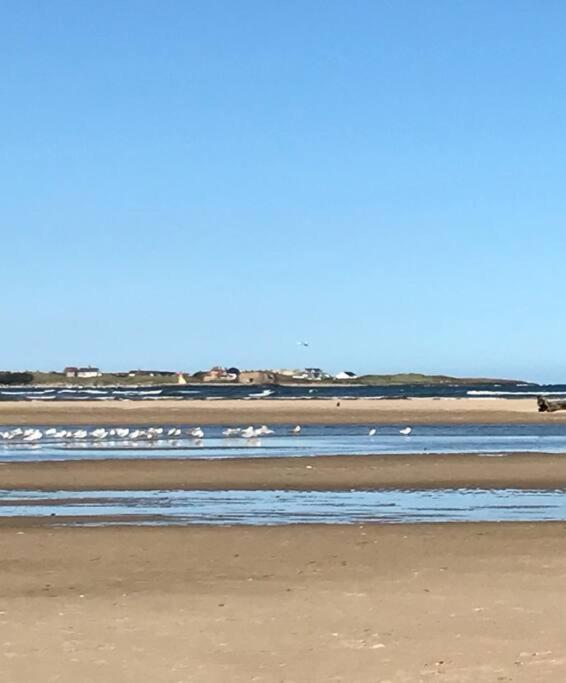 Rockview - Perfect Family Retreat * Beadnell